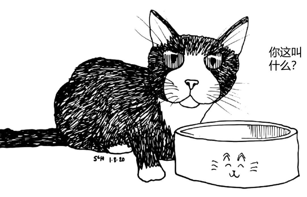 用户代表——为所欲为的猫